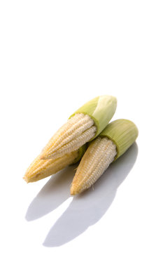 Baby corns over white background