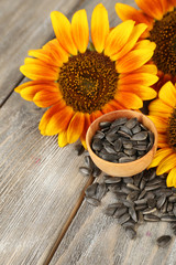 Sunflowers and seeds in bowl on wooden background