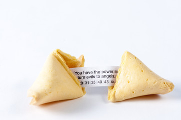 Fortune cookie