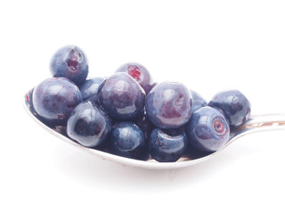 Blueberries on white background