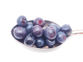 Blueberries on white background