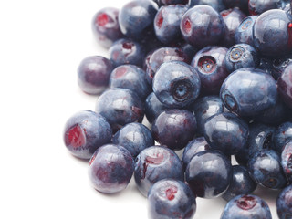 Blueberries on white background