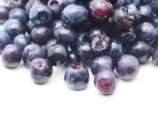 Blueberries on white background