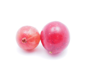 gooseberry on a white background