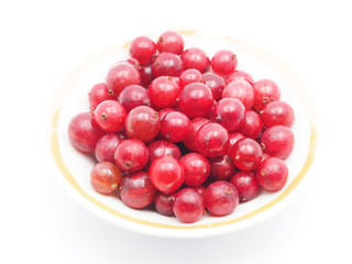 gooseberry on a white background