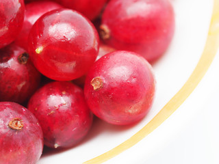 gooseberry on a white background