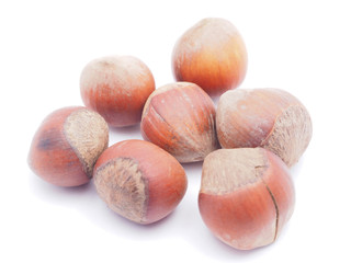 hazelnuts on a white background