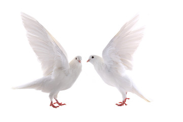 Fototapeta premium gdzie to jest