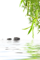 Fototapeta na wymiar bambou aquatique zen détente relaxation