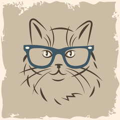 cat in glasses