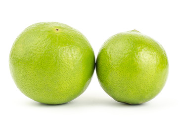 Lime