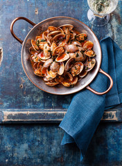Shells vongole with parsley and tomato sauce and wine on blue ba