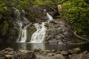 Waterfall in a Celtic Rainforest