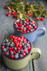 ripe forest berries - cranberries and blueberries