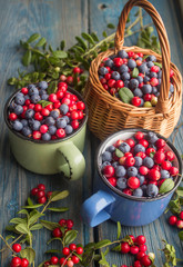 ripe forest berries - cranberries and blueberries