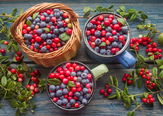 ripe forest berries - cranberries and blueberries