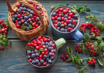 ripe forest berries - cranberries and blueberries