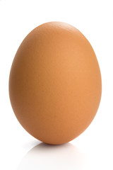 Egg