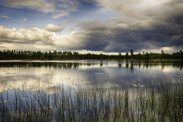 Swedish Lake