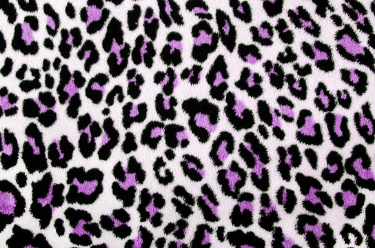 Purple black leopard pattern.Spotted fur animal print background