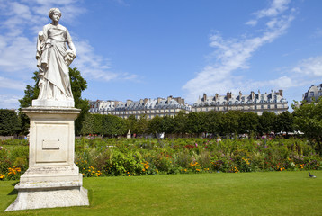 Obraz premium Jardin des Tuileries in Paris
