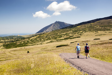 Fototapeta na wymiar Tourists walking on trip, Czech mountains