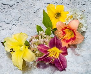 flowers in a rainy day