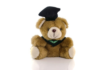 brown teddy bear isolated on white