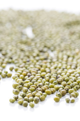 mung bean (Vigna radiata)