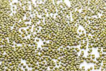 mung bean (Vigna radiata)