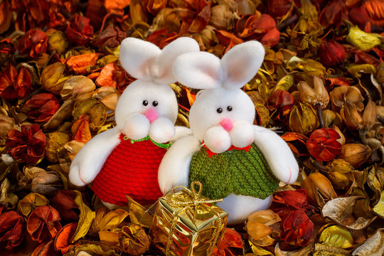 two white rabbits on the coloured background