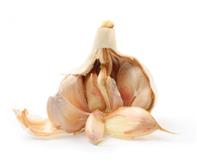 The Garlic (Allium sativum) on a white background.