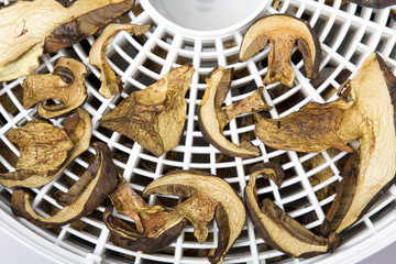 drying mushrooms