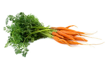 fresh carrots isolated on white