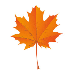 HERBST