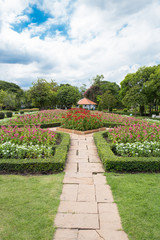 pathway at park, garden in Thailand
