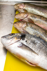 Forelle, Bachsaibling und Dorade roh