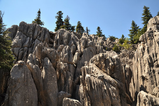 kayalar