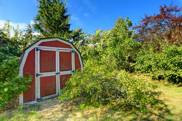 Fototapeta na wymiar Home garden with small shed