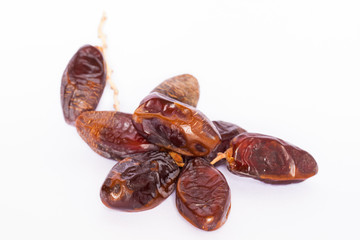 Dates on white background.