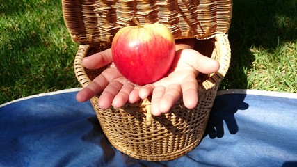 Cesta mágica con manzana © Ricardo Ferrando
