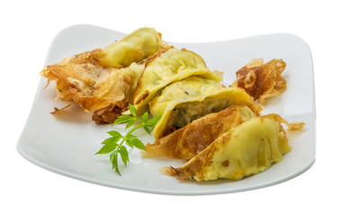 Japan dumplings - gyoza