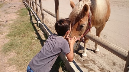 Niño besando a caballo marrón