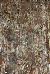Old wooden painted rustic background, paint peeling