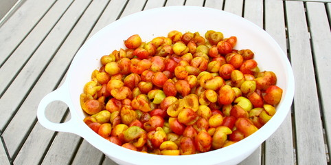 mirabelles préparation pour confiture