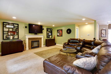 Light green living room with comfortable leather couch