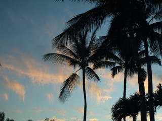 Fototapeta na wymiar Hawaii Big Island Sunset Palms Moon-27