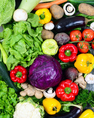 Huge group of fresh vegetables - High quality studio shot