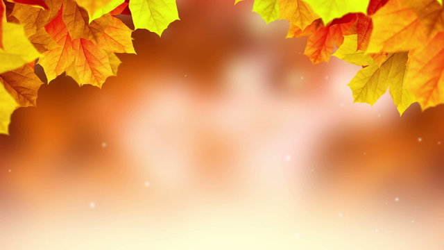 Autumn background