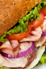 Homemade Italian Sub Sandwich. Macro. Selective focus.